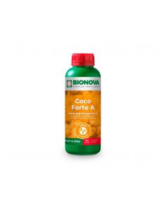 Coco Forte A+B