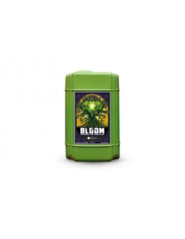 Bloom prof 3 part