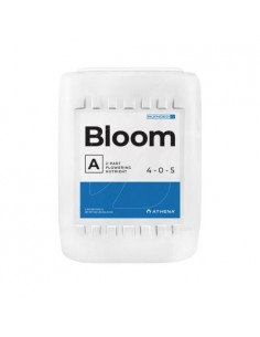 Bloom A+B