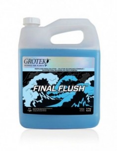 FINAL FLUSH REGULAR
