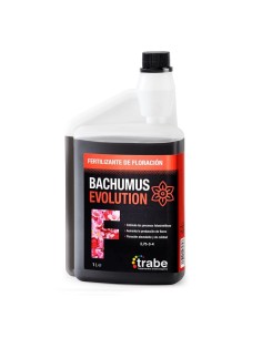 BACHUMUS EVOLUTION FLORACIÓN