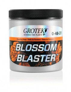 BLOSSOM BLASTER 2