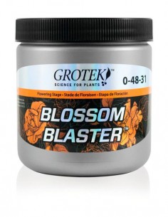 BLOSSOM BLASTER 2