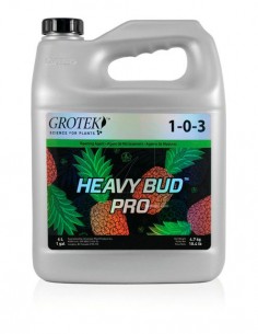 HEAVY BUD PRO 2
