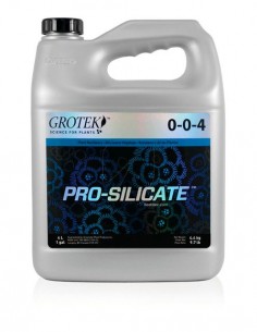 PRO-SILICATE 2