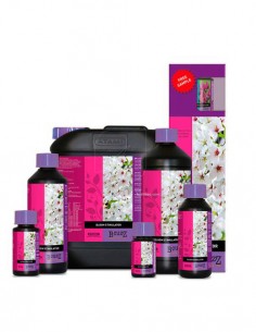 B’CUZZ BLOOM STIMULATOR