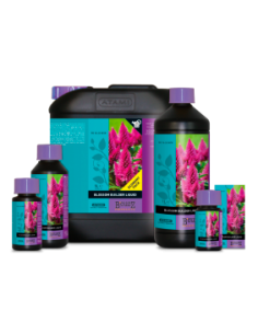 B’CUZZ BLOSSOM BUILDER LIQUID 2