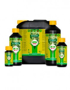 ATA NRG GROWTH-C