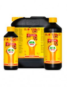 ATA NRG BLOOM-C