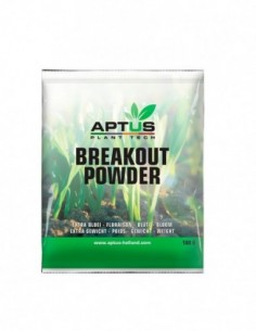 BREAKOUT POWDER 2