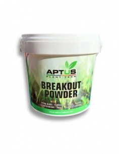 BREAKOUT POWDER 2