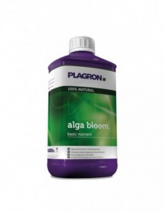 Alga Bloom
