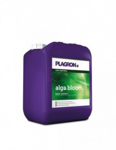 Alga Bloom 2