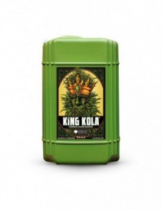 King kola 2