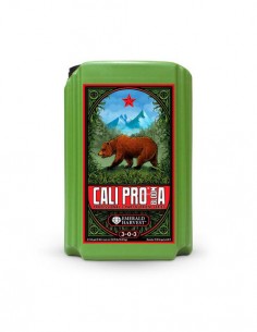 Cali Pro Bloom A+B Prof 2