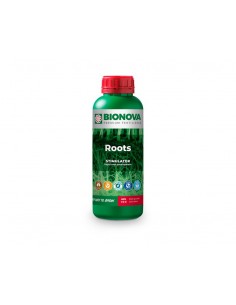 BN Roots