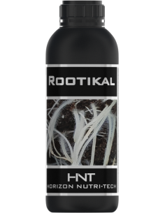 ROOTIKAL