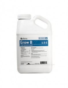 Grow A+B 2