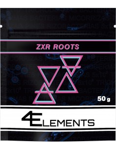 ZXR ROOTS
