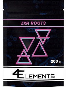 ZXR ROOTS 2